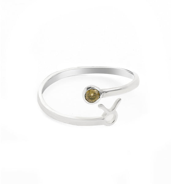 Zodiac Sign and Birthstone Silver Ring